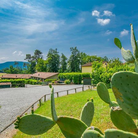 Holiday Home I Pini By Interhome San Macario In Piano Buitenkant foto